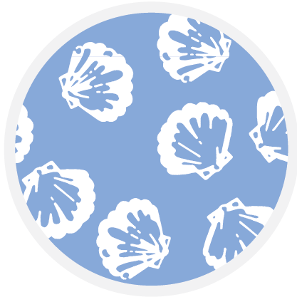 Blue Shell  color swatch