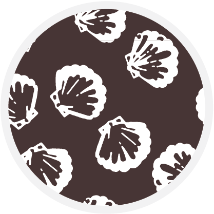 Brown Shell  color swatch