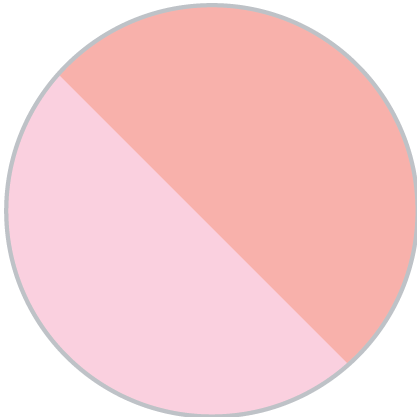 Coral on Ballet Pink  color swatch