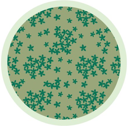 Green Petal  color swatch