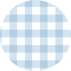 Light Blue Gingham  color swatch