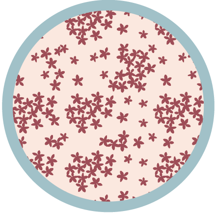 Raspberry Petal  color swatch