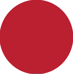Red Windowpane  color swatch