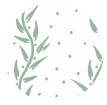 Willow  color swatch