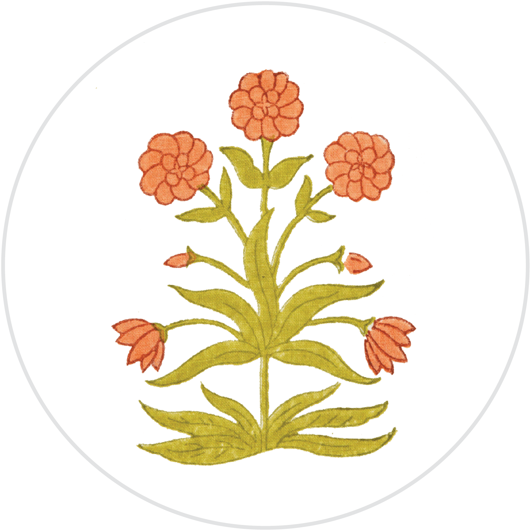 Mughal  color swatch