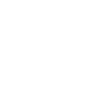 Weezie Towels' wordmark with a camel illustration.