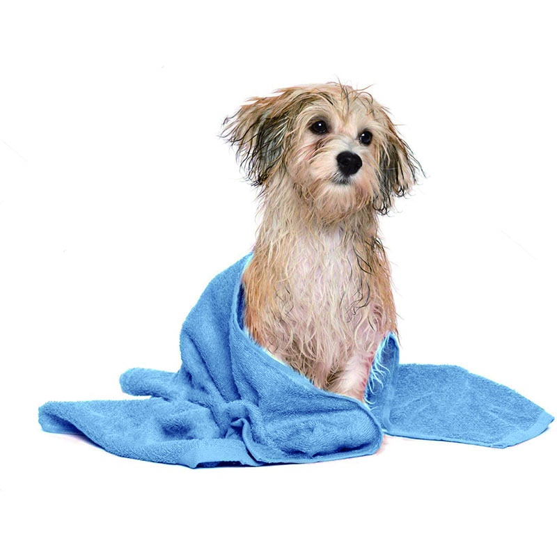 100% Cotton Dog Bath Towel|Dog Grooming Towels| Absorbent Dog Towels for Drying Dogs|Soft Towels for Dogs|Dog Drying Towel for Small, Medium, Large Dogs|Embroidered Pattern|20x40 in|450 GSM